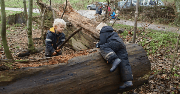 Forest Kindergarten SBS Dateline 2