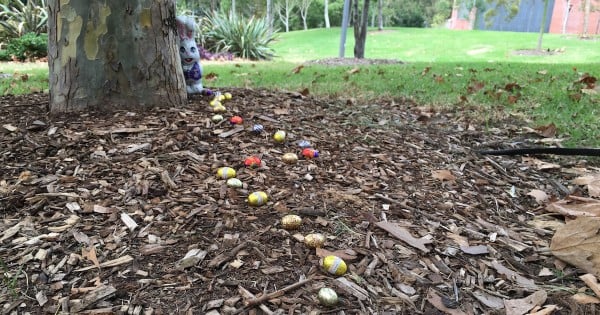 easter egg hunt ideas