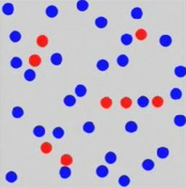 dot 1 cropped