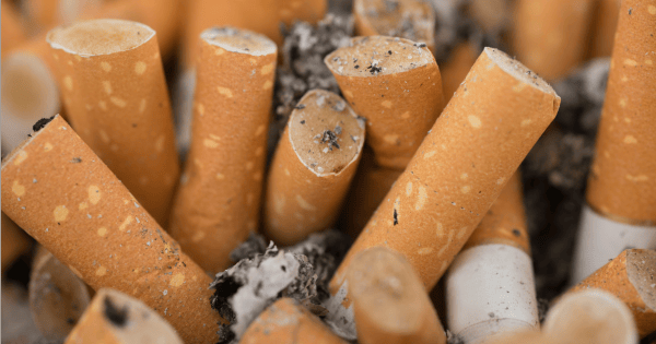 cigarette butts istock