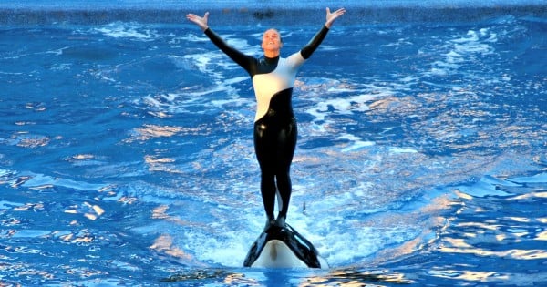 Dawn Blackfish feat fb