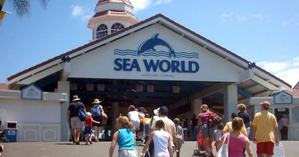 Seaworld Austrlaia wiki commons
