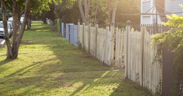 Sun lit suburban front yard