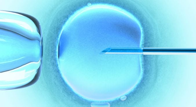 how-much-does-ivf-cost-in-2024-forbes-health