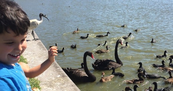 Giovanni feeding the ducks at Centennial