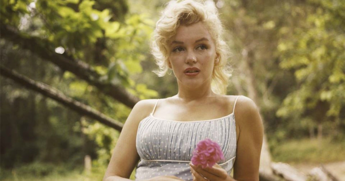 The Chilling Letter Marilyn Monroe Wrote During Her Time in a Psychiatric  Clinic Is Up for Auction