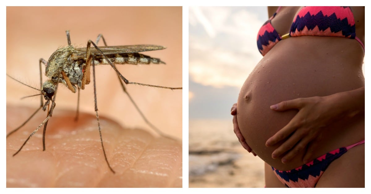 Travel warnings issues after Zika virus found in Indonesia.