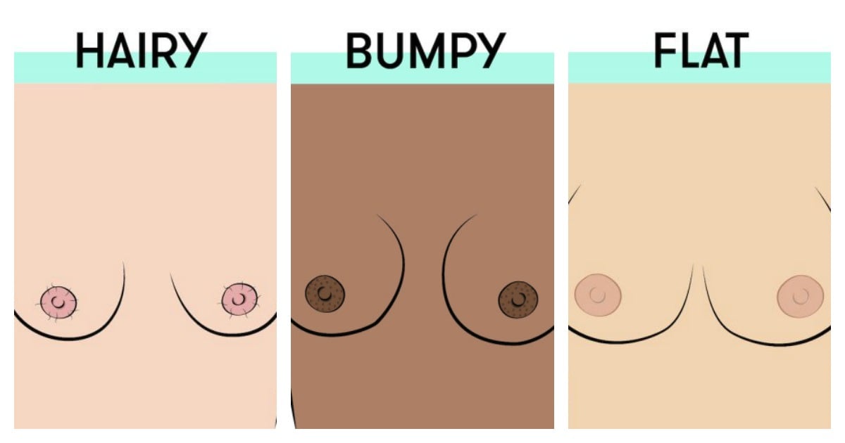 Pictures Of Different Types Of Nipples 95