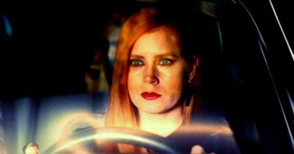 opening scene of nocturnal animals