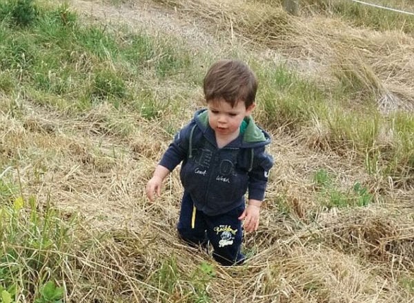 noah toddler car death