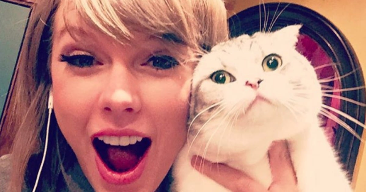 Taylor Swift Is In Trouble Again This Time It S Over Her Cats