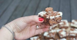 tim tam hedgehog slice