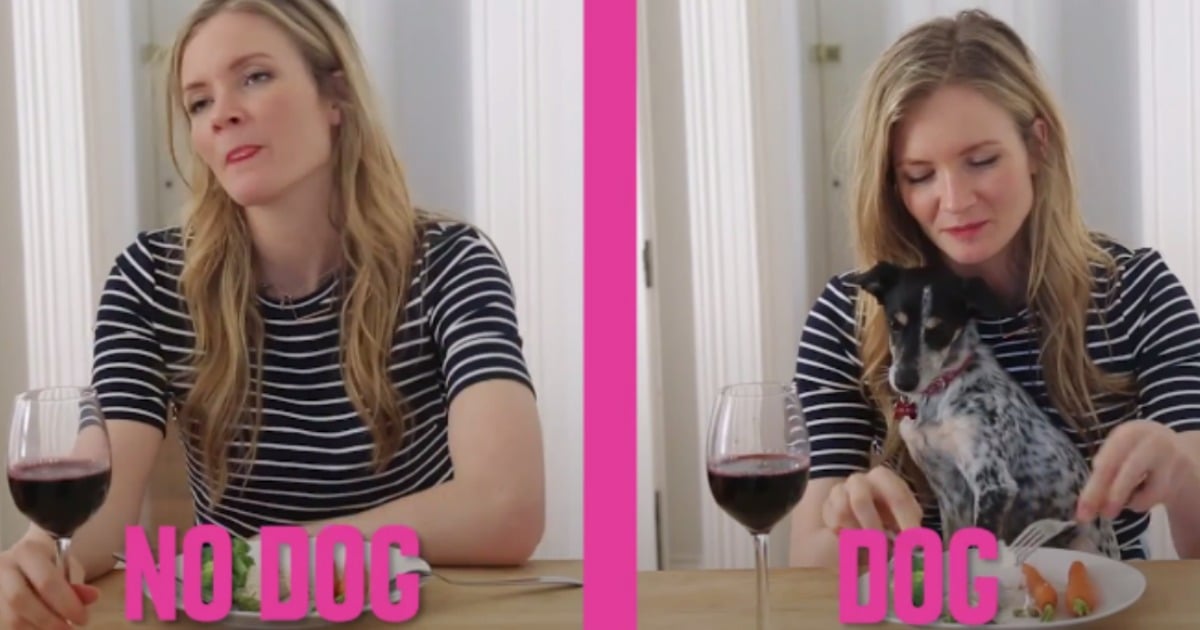 Things That Happen When A Dog Stops Living With You 