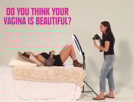 beautiful vagina project