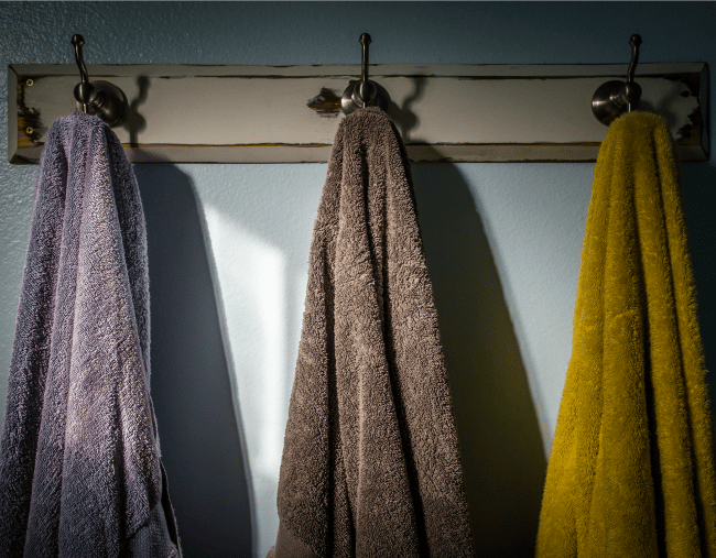 bath towels bacteria