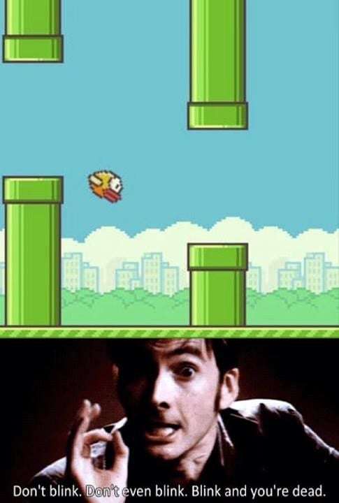 The life + death of Flappy Bird app. Creator chooses to end the game.