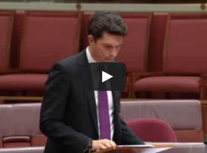 scott ludlam