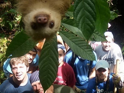 Sloths are awesome. As if you needed any more evidence. 