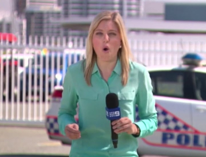Reporter bitten by bull ant