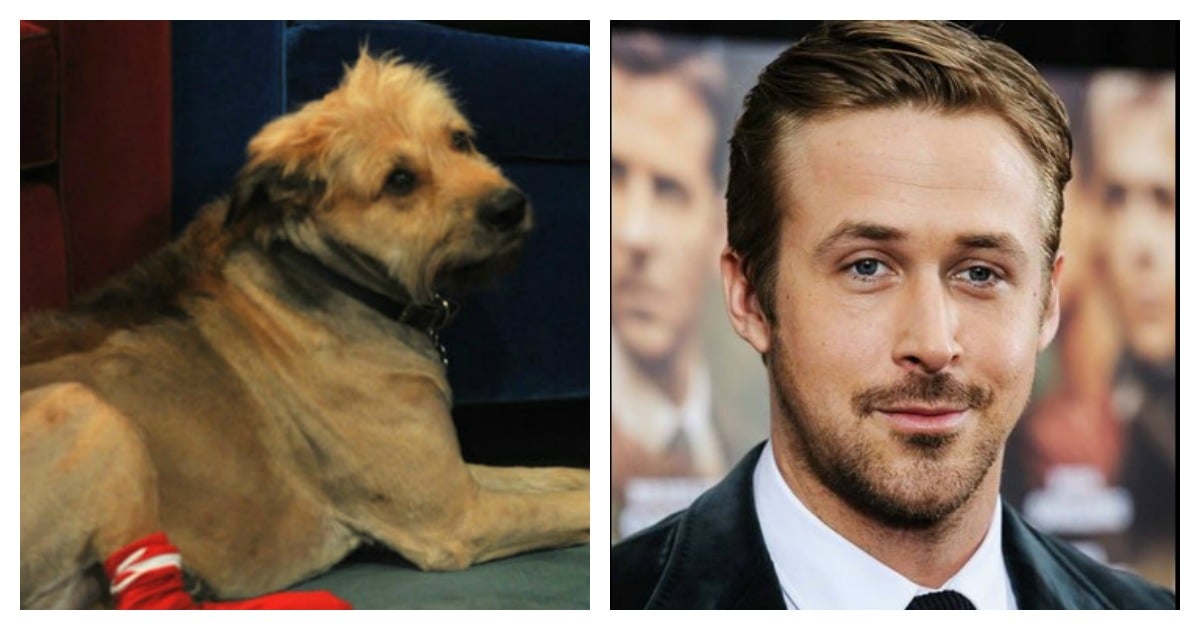 Definitive proof that Ryan Gosling is a superhero.