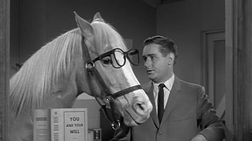tv shows of the 60s