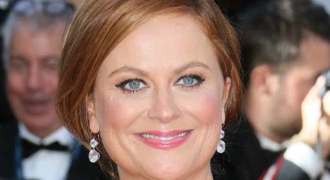 22+ Amy Poehler Natural Hair Color