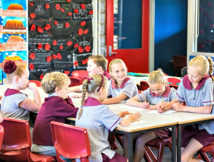 state education