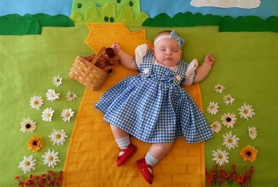 small baby photo shoot