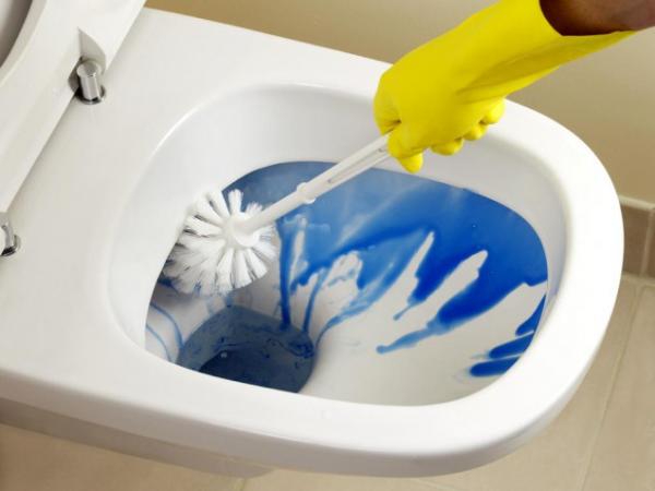 How To Clean Toilet Brushes And Brush Holders? - Bond Cleaning In Melbourne