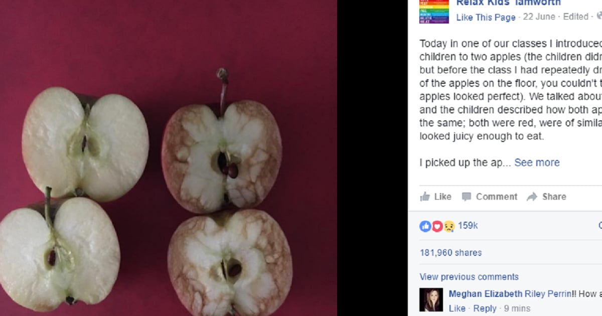 Genius Teacher Uses Apples To Explain Why Bullying Sucks Genius Teacher Uses Apples To Explain Why Bullying Sucks