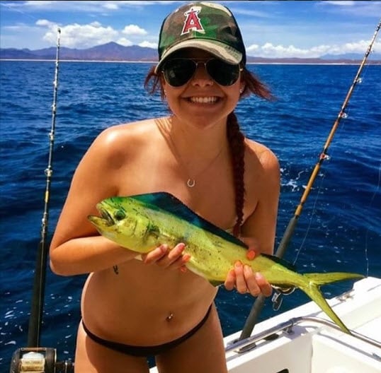 what is a fish bra