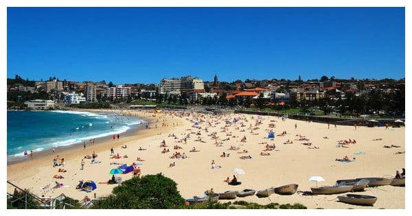 Bondi rapist
