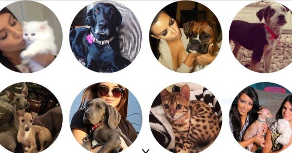 Kendall and Kylie Jenner Named Their New Dogs Louis and Vuitton