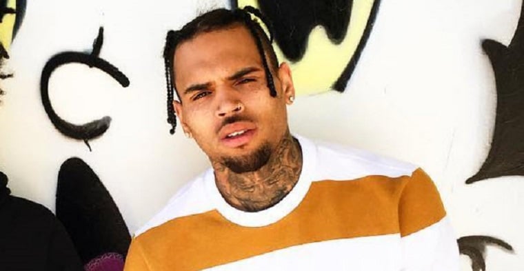 Chris Brown surrenders after 11-hour standoff with police at his LA home.