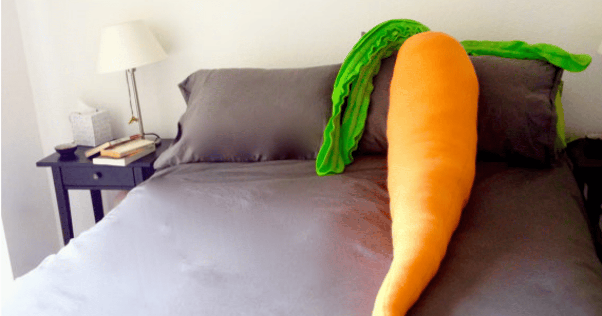 This giant carrot pillow is all you need.