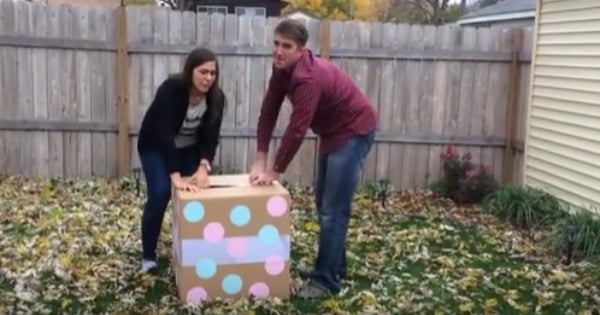 Watch As This Couple S Baby Gender Reveal Party Goes Wrong