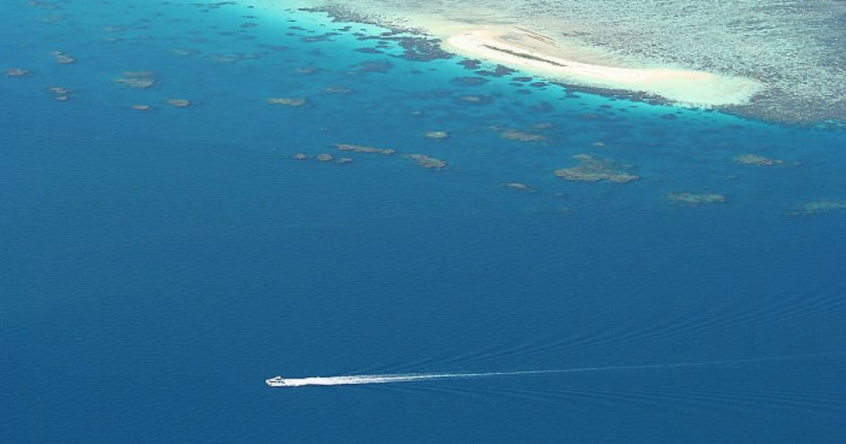 Great Barrier Reef deaths: French tourists die from heart attacks.