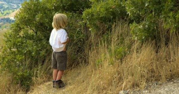 Public Urination In Playground Lets Lay Down The Rules