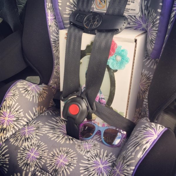Ellie ashes car seat