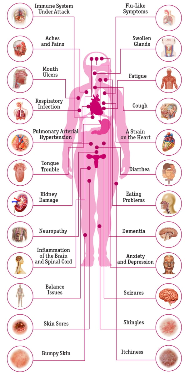 24 symptoms of HIV and how the disease affects the human body.