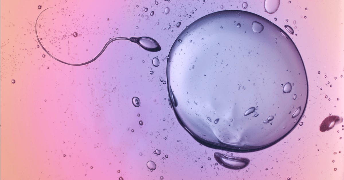 What Is Artificial Insemination Everything You Need To Know