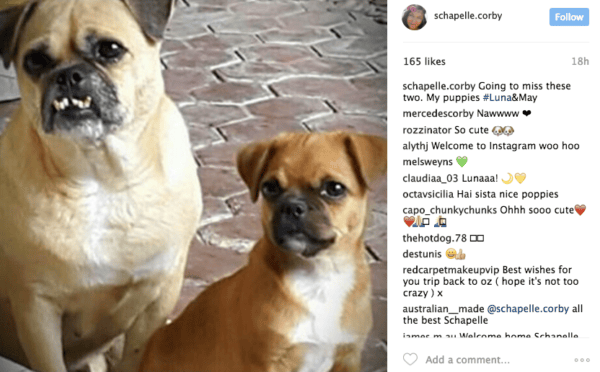 schapelle corby joins instagram