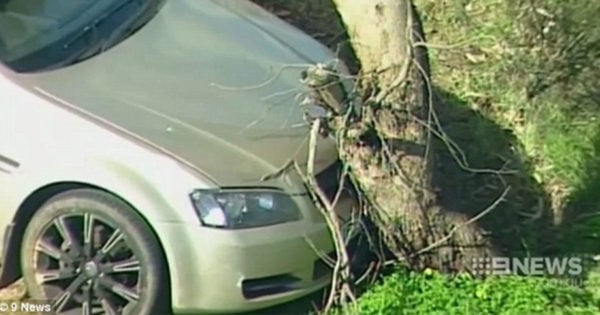 hit and run staged accident