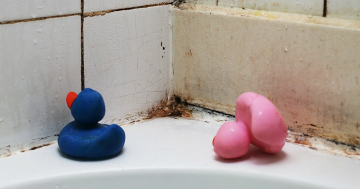 clean mould