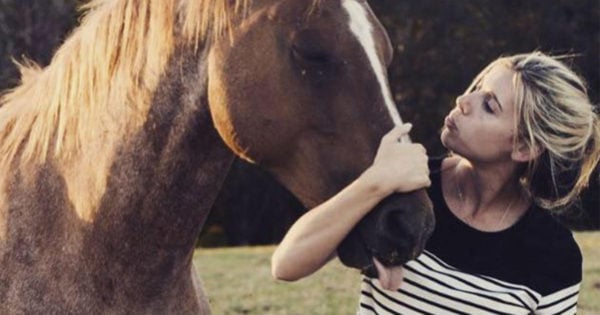 erin horse