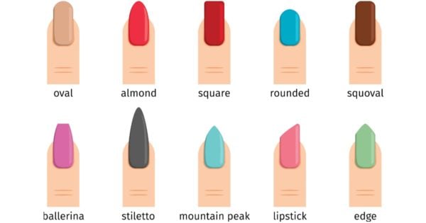 A complete guide to different nail shapes: From oval, to square, to round.