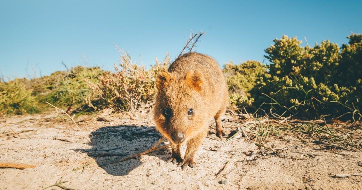 australian holidays
