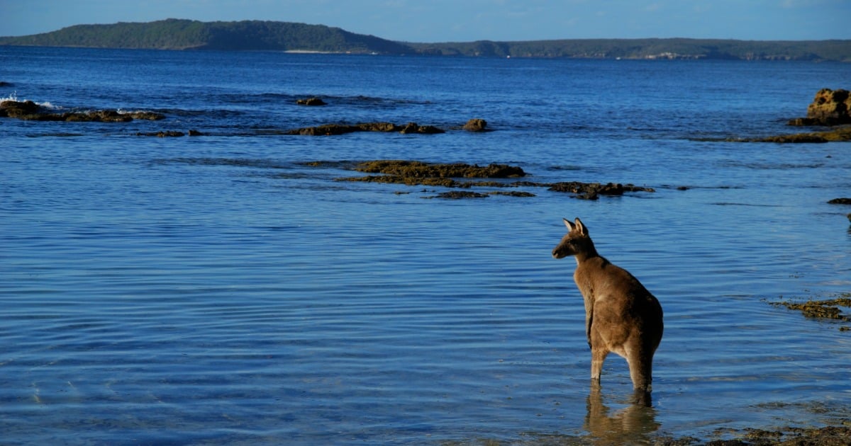 holiday in australia