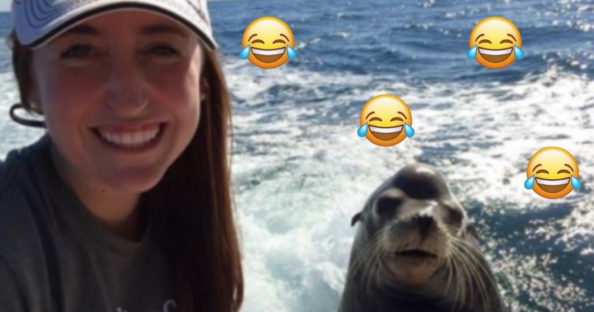 A Dad Cracked The Ultimate Dad Joke On His Daughter S Birthday A Dad Cracked The Ultimate Dad Joke On His Daughter S Birthday