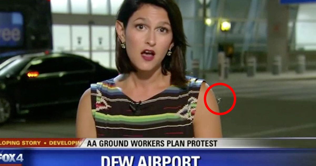 spider attacks reporter live tv